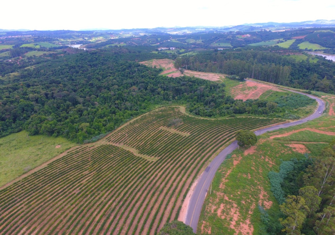 Fazenda, 302 hectares - Foto 20