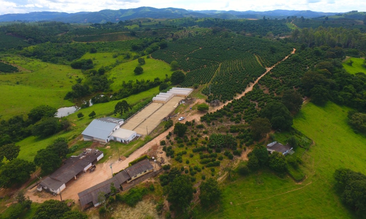 Fazenda, 302 hectares - Foto 22