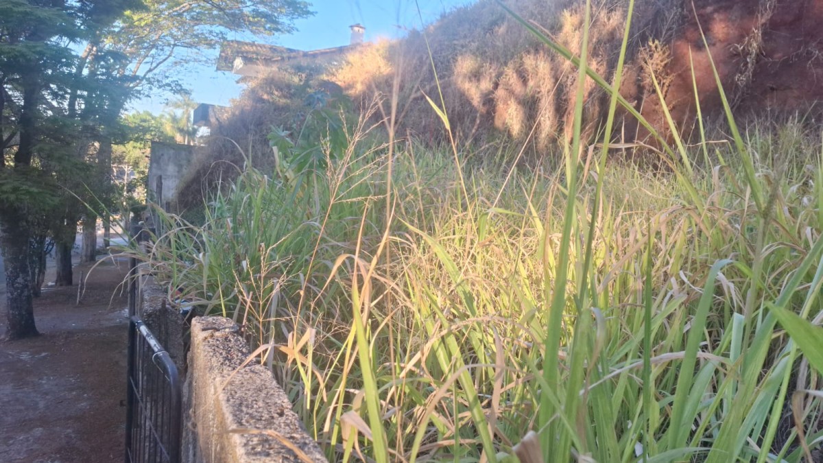 Terreno, 378 m² - Foto 5