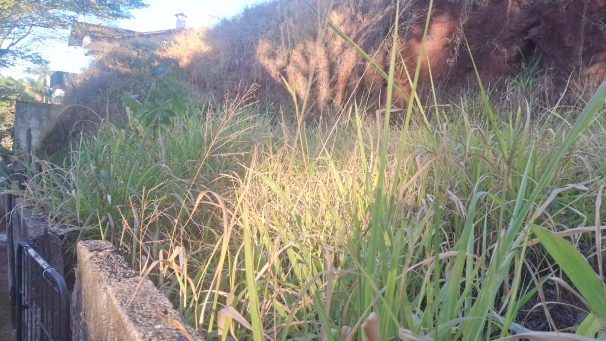 Terreno, 378 m² - Foto 7