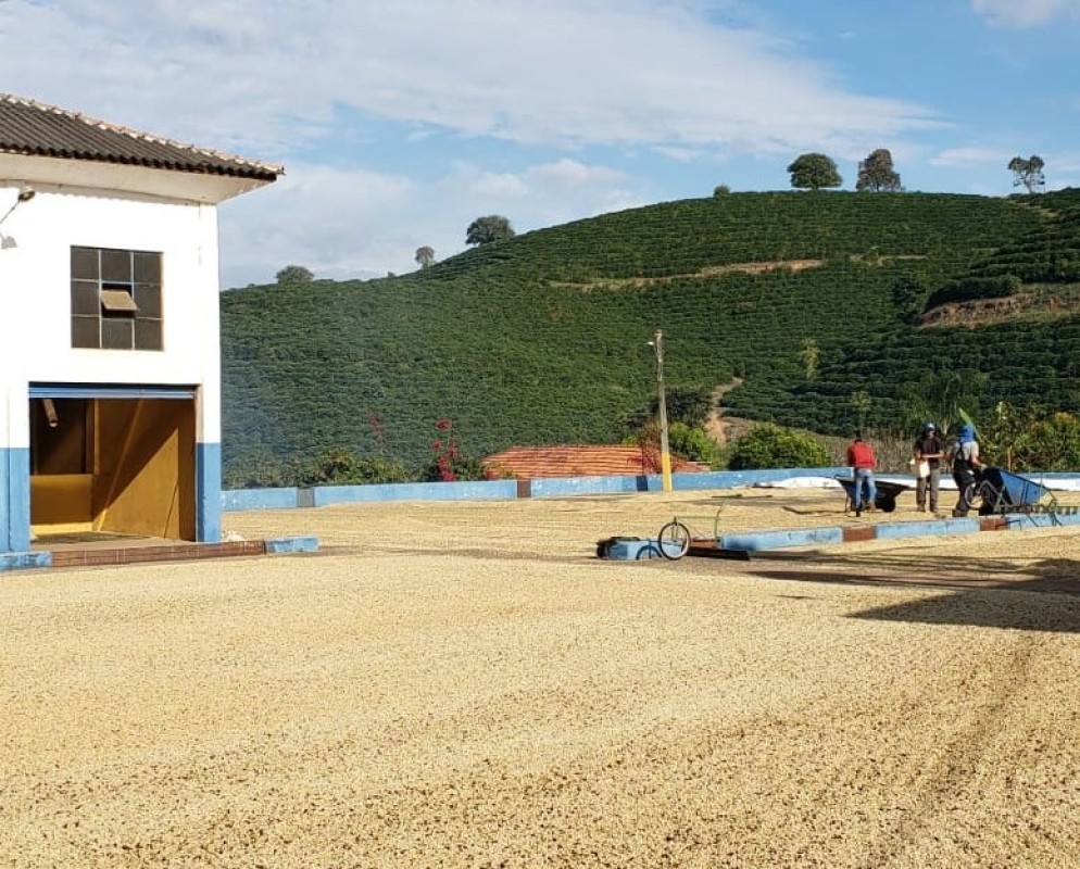 Fazenda, 127 hectares - Foto 9