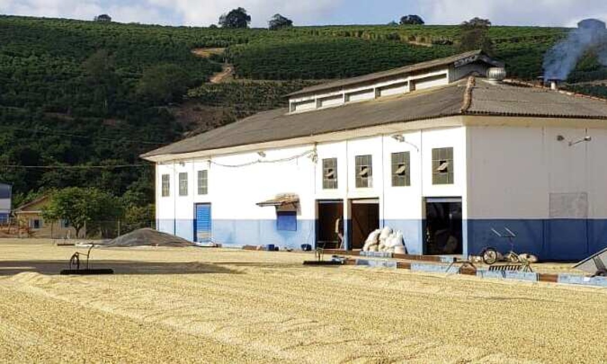 Fazenda, 127 hectares - Foto 10