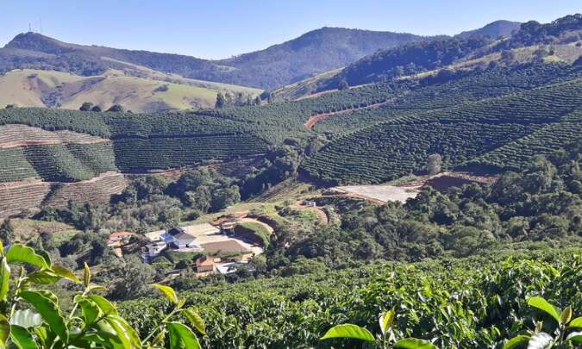 Fazenda, 127 hectares - Foto 3