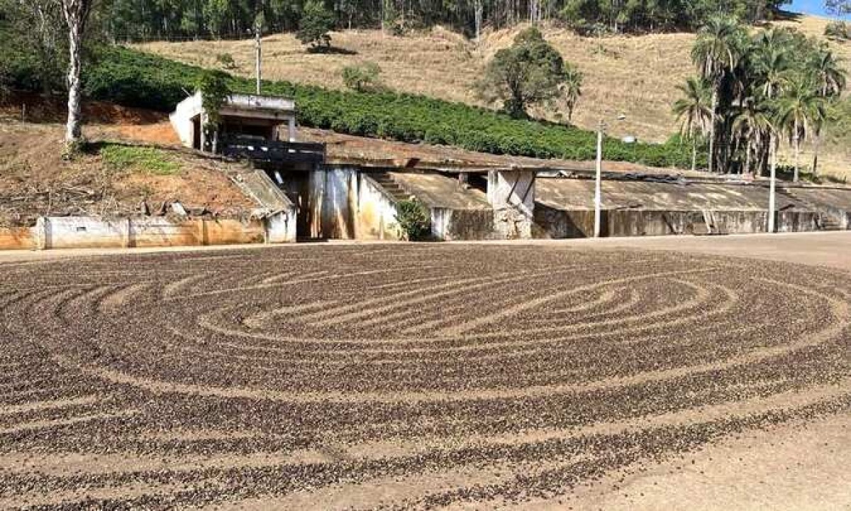 Fazenda, 127 hectares - Foto 13