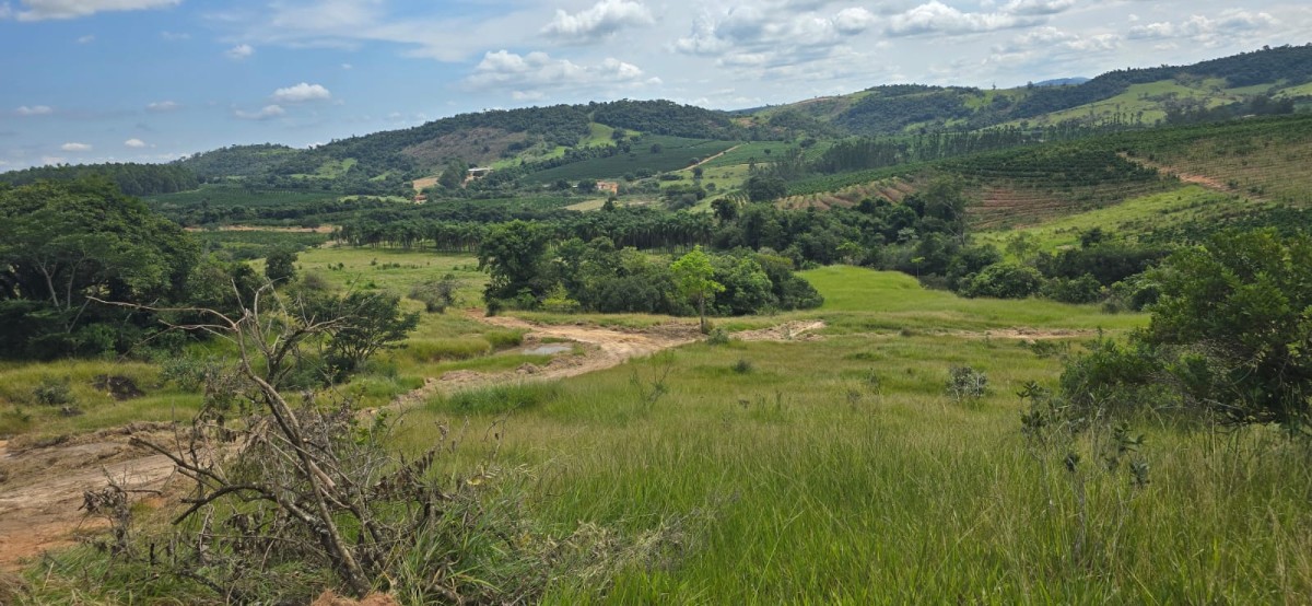 Fazenda, 71 hectares - Foto 21