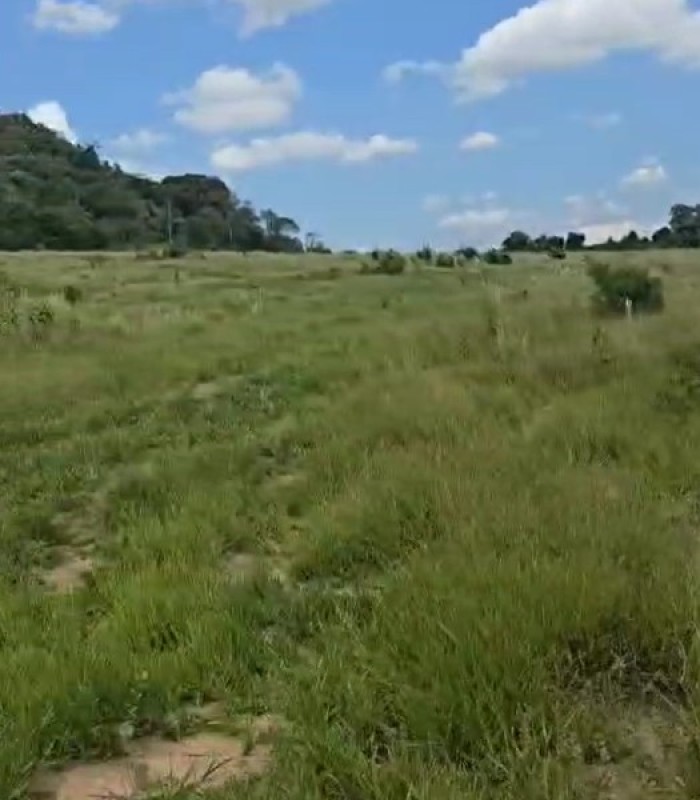 Fazenda, 71 hectares - Foto 15