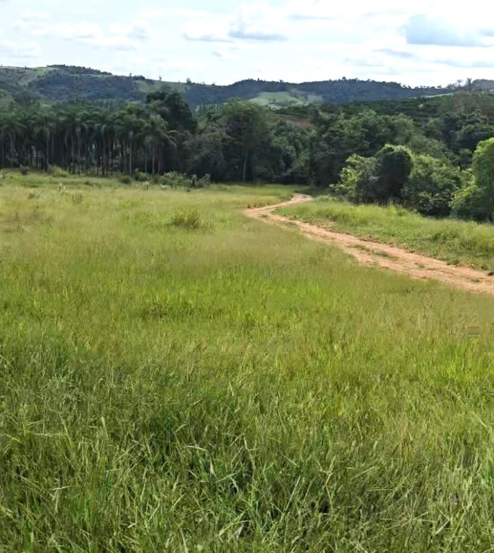 Fazenda, 71 hectares - Foto 7