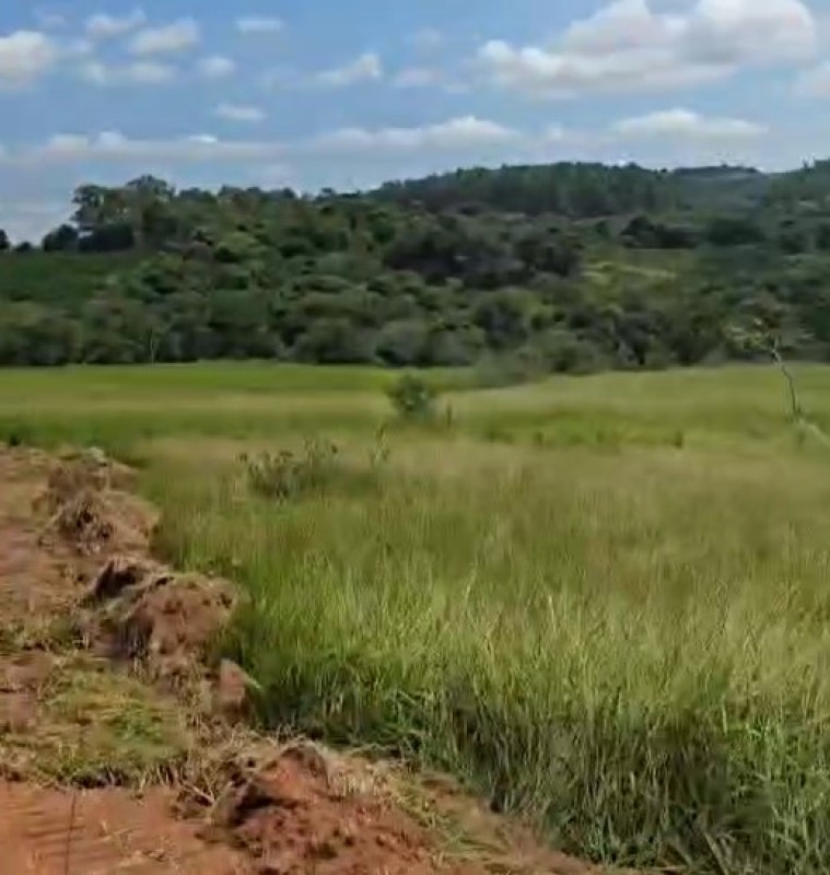 Fazenda, 71 hectares - Foto 8