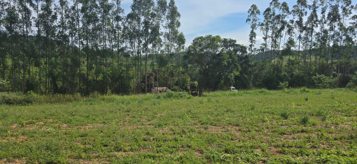 Fazenda, 71 hectares - Foto 17