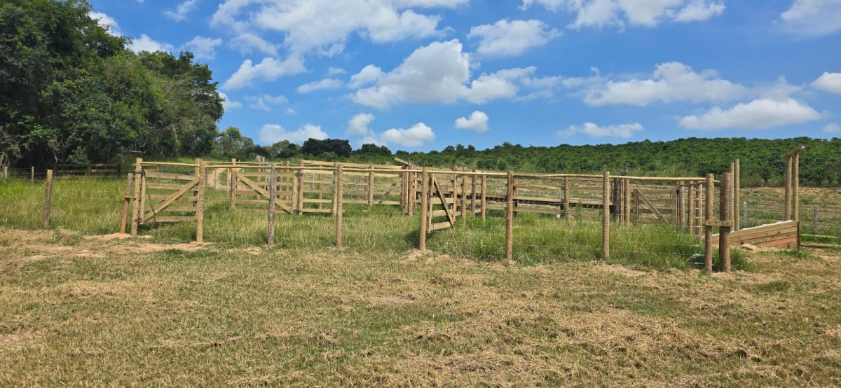 Fazenda, 71 hectares - Foto 25