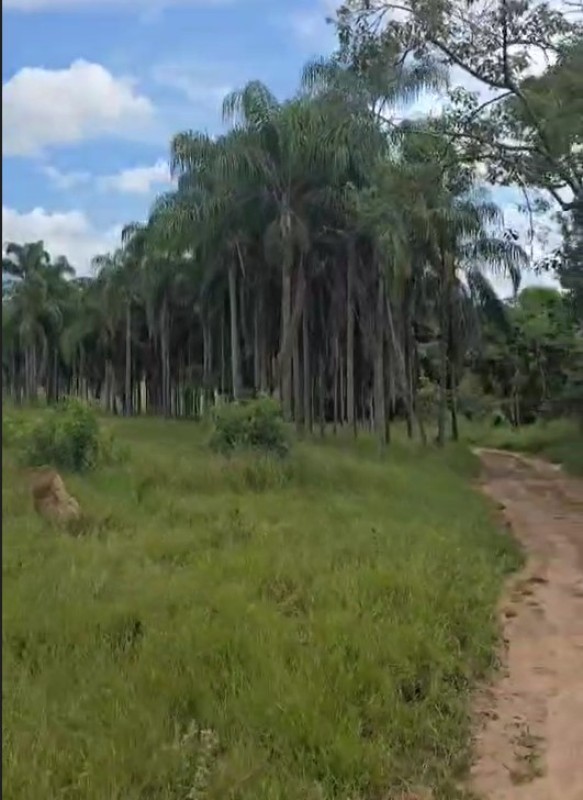 Fazenda, 71 hectares - Foto 14