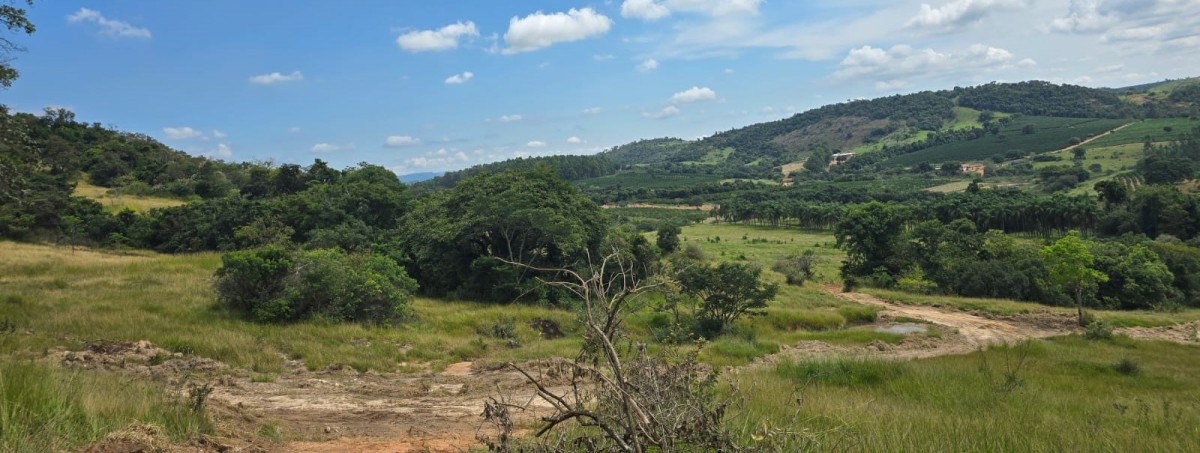 Fazenda, 71 hectares - Foto 16