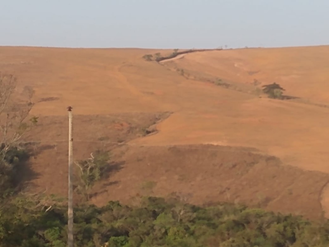 Fazenda, 160 hectares - Foto 19