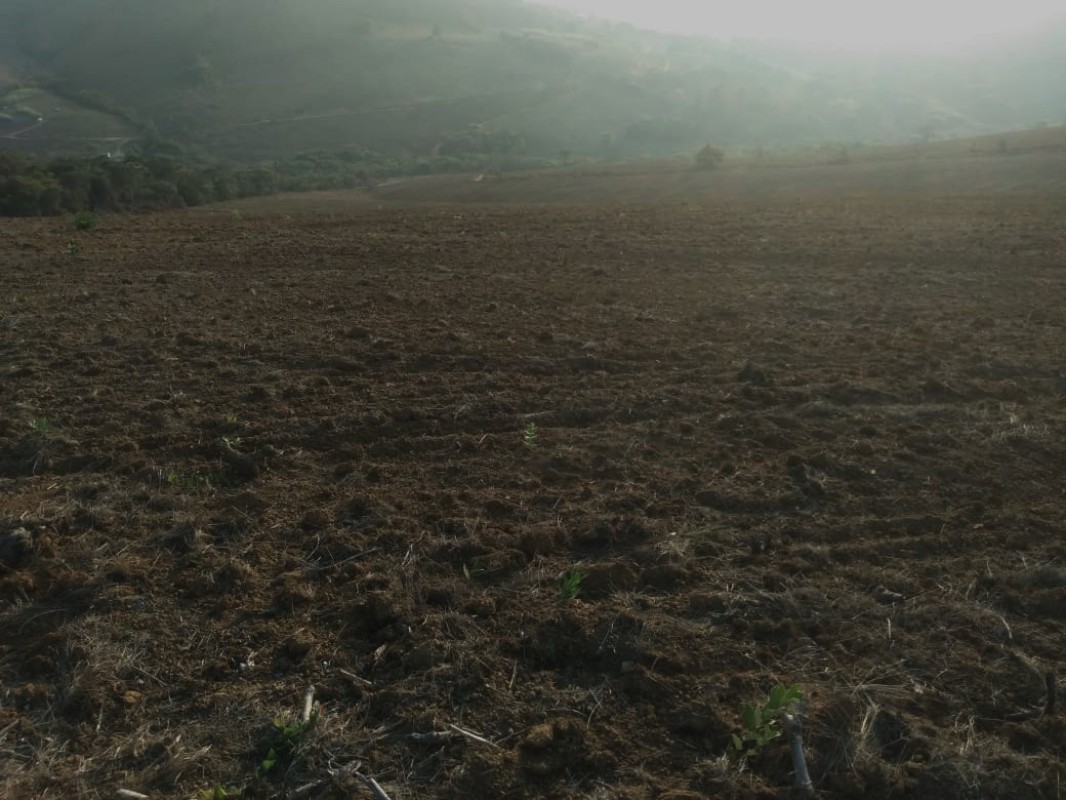 Fazenda, 160 hectares - Foto 16