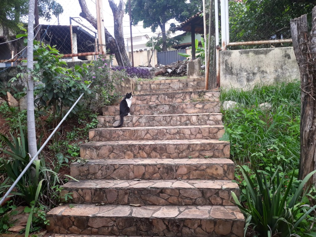 Terreno, 2953 m² - Foto 5