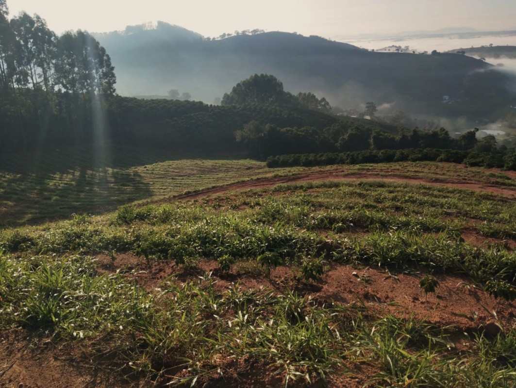Fazenda, 60 hectares - Foto 4