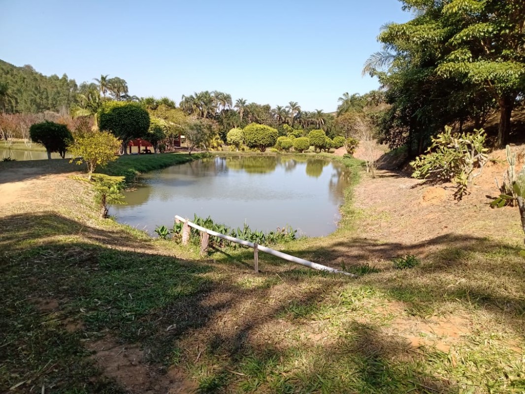 Fazenda, 60 hectares - Foto 23