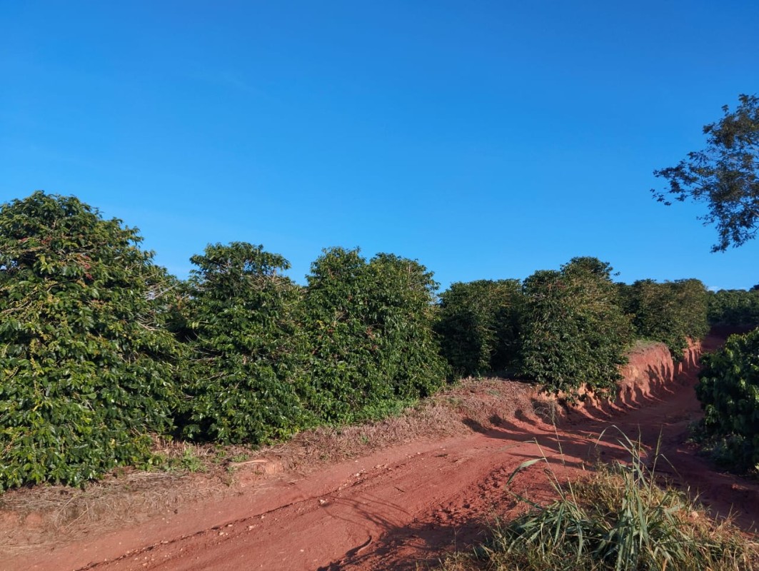 Fazenda, 60 hectares - Foto 6