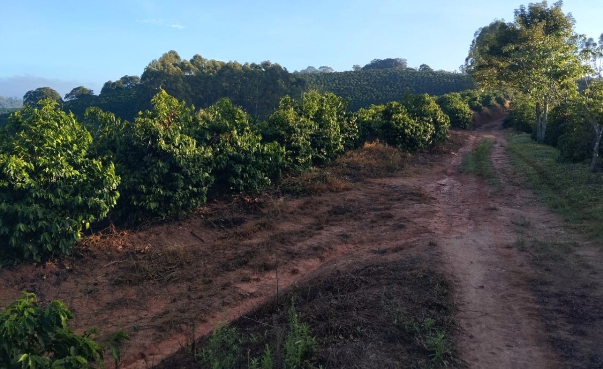 Fazenda, 60 hectares - Foto 2