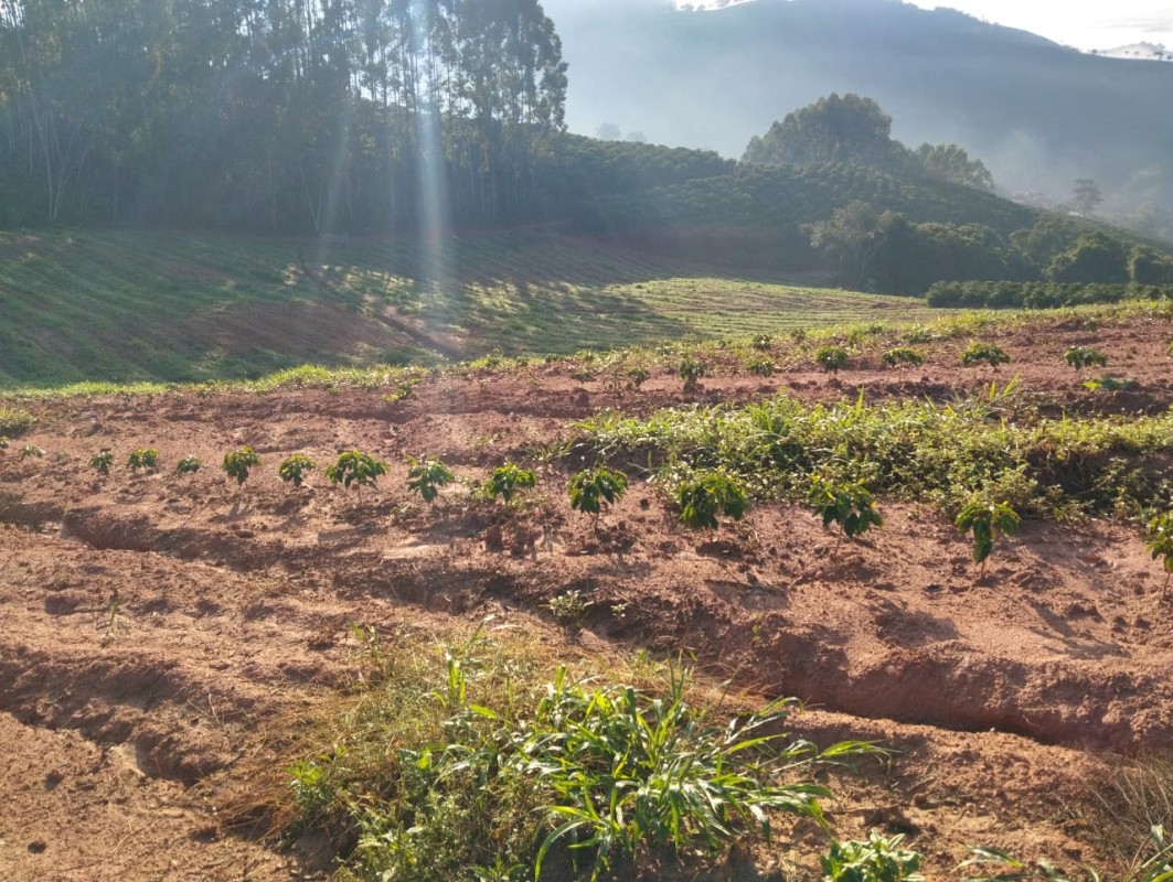 Fazenda, 60 hectares - Foto 13