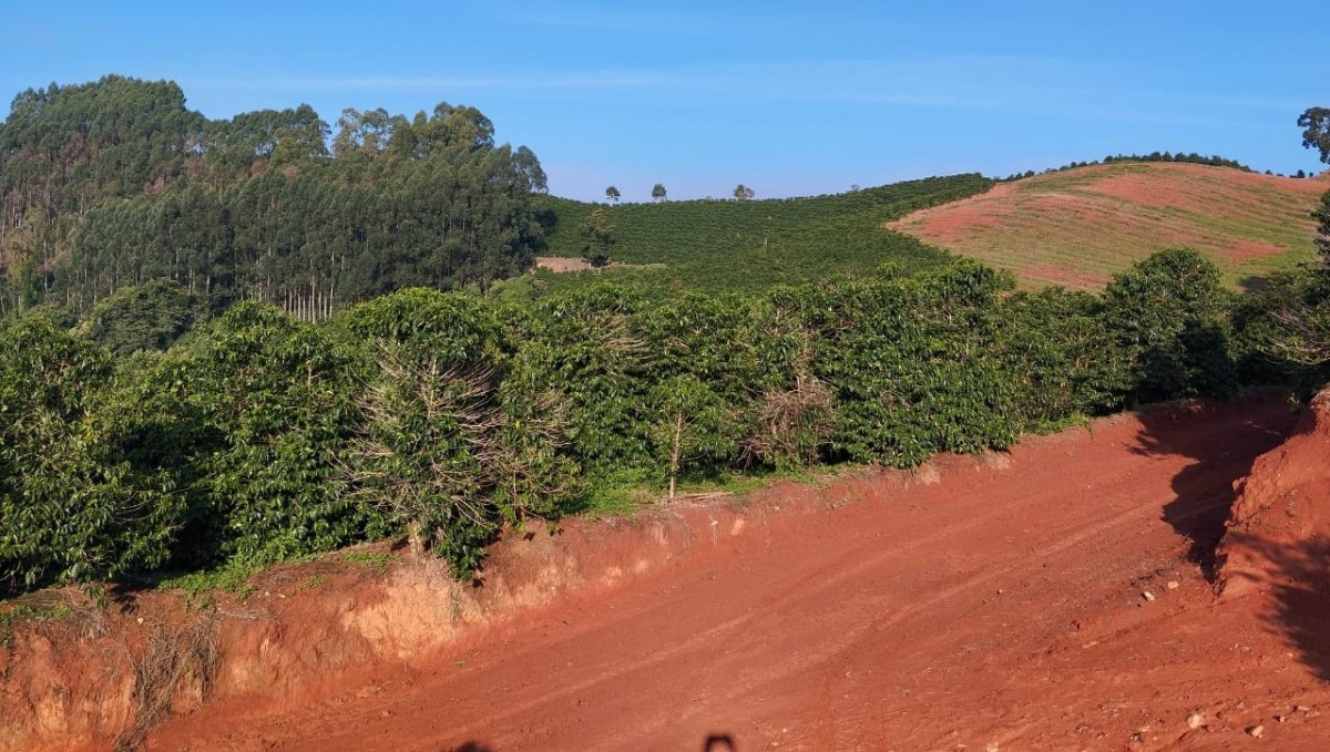 Fazenda, 60 hectares - Foto 15