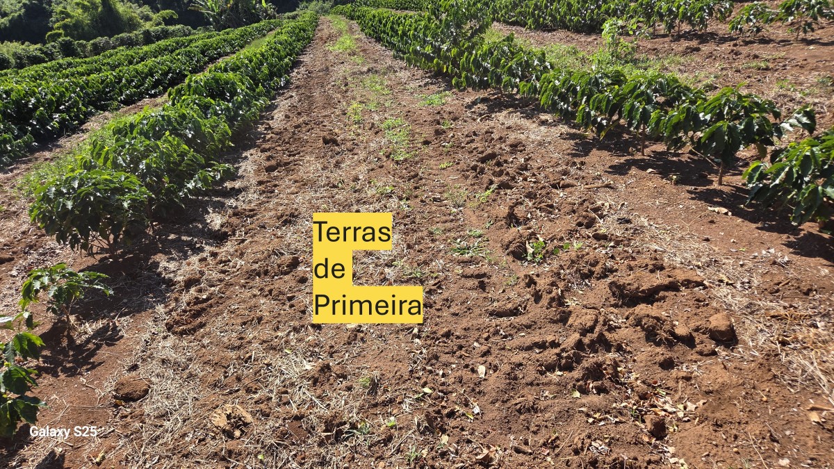 Sítio, 3 quartos, 19 hectares - Foto 21