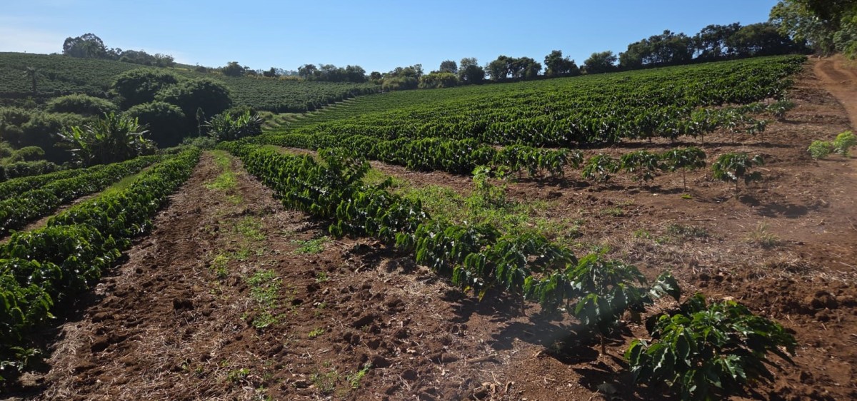 Sítio, 3 quartos, 19 hectares - Foto 22