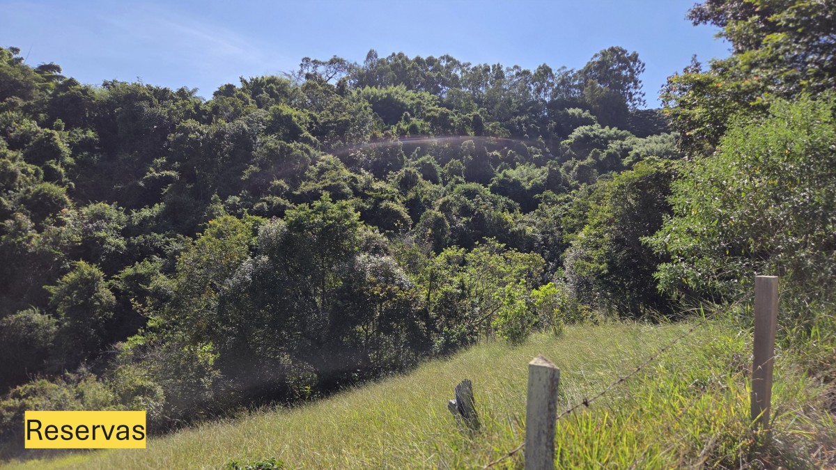 Sítio, 3 quartos, 19 hectares - Foto 10