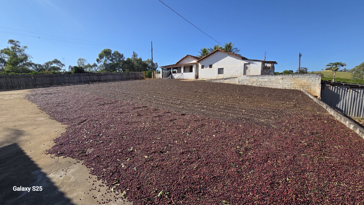 Sítio, 1 quarto, 12 hectares - Foto 19