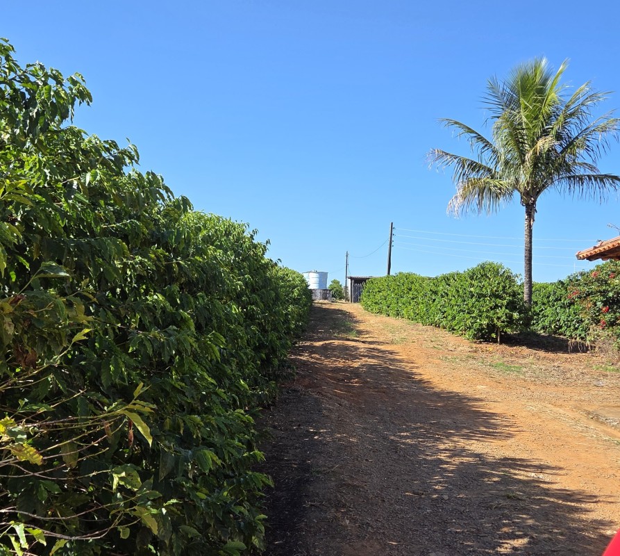 Sítio, 1 quarto, 12 hectares - Foto 8