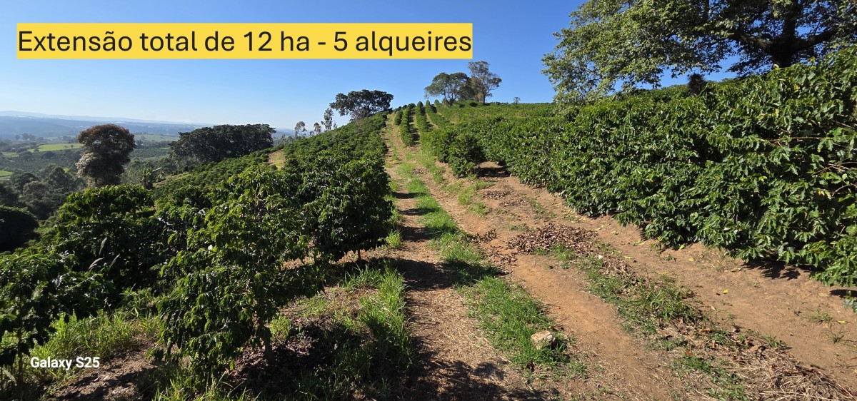 Sítio, 1 quarto, 12 hectares - Foto 1