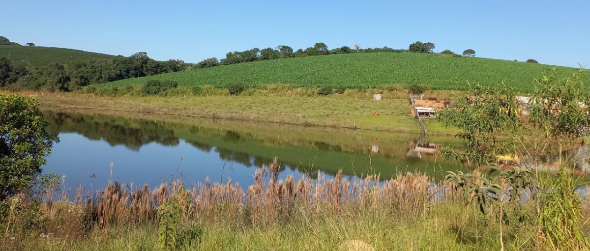 Fazenda, 182 hectares - Foto 13