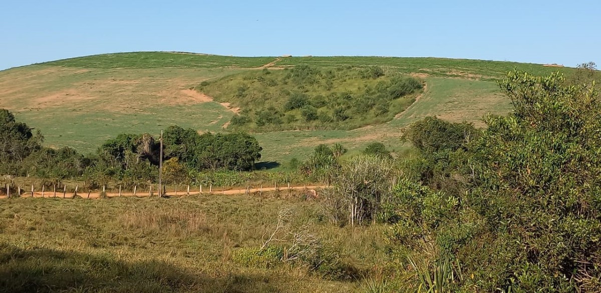 Fazenda, 182 hectares - Foto 8