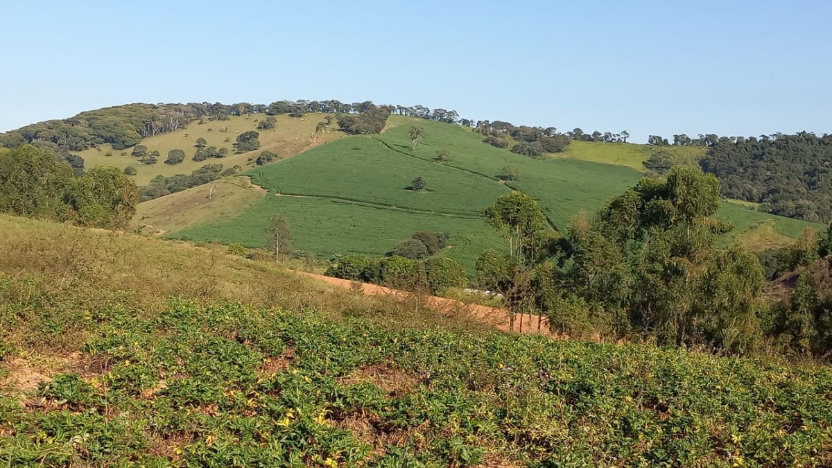 Fazenda, 182 hectares - Foto 3