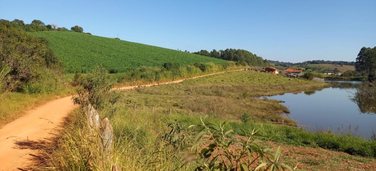 Fazenda, 182 hectares - Foto 10