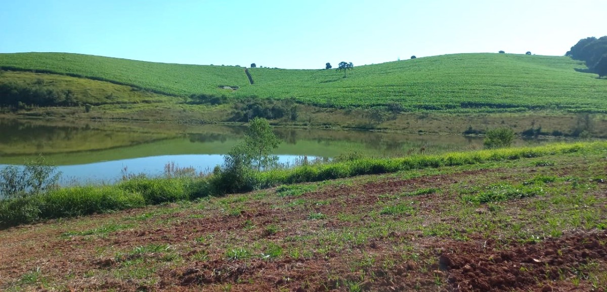 Fazenda, 182 hectares - Foto 5