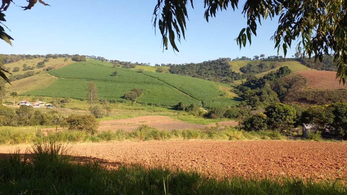 Fazenda, 182 hectares - Foto 9