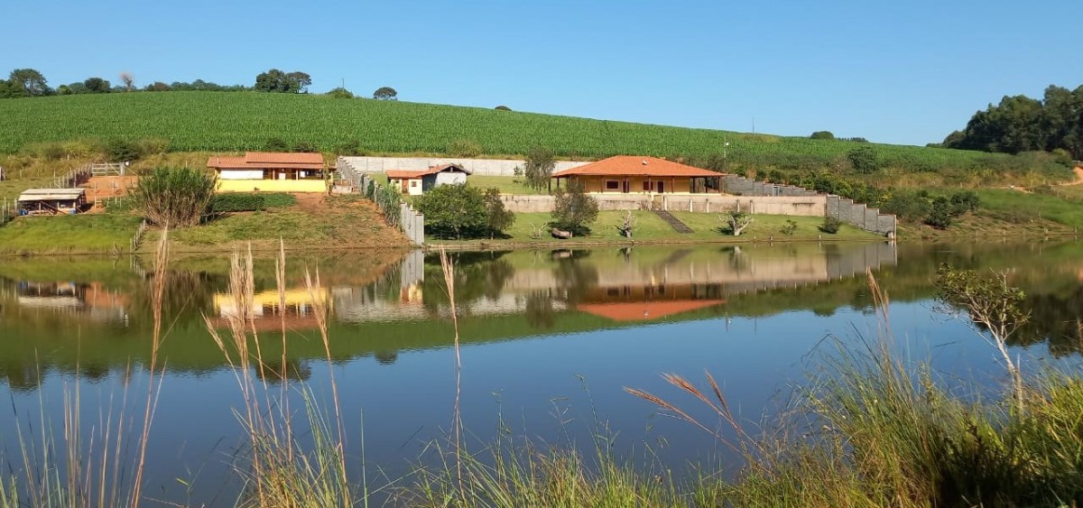 Fazenda, 182 hectares - Foto 16