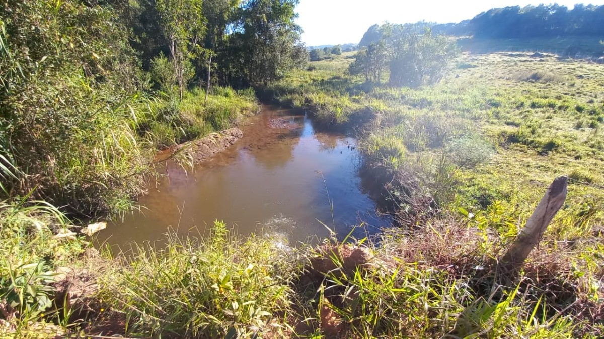 Fazenda, 182 hectares - Foto 11