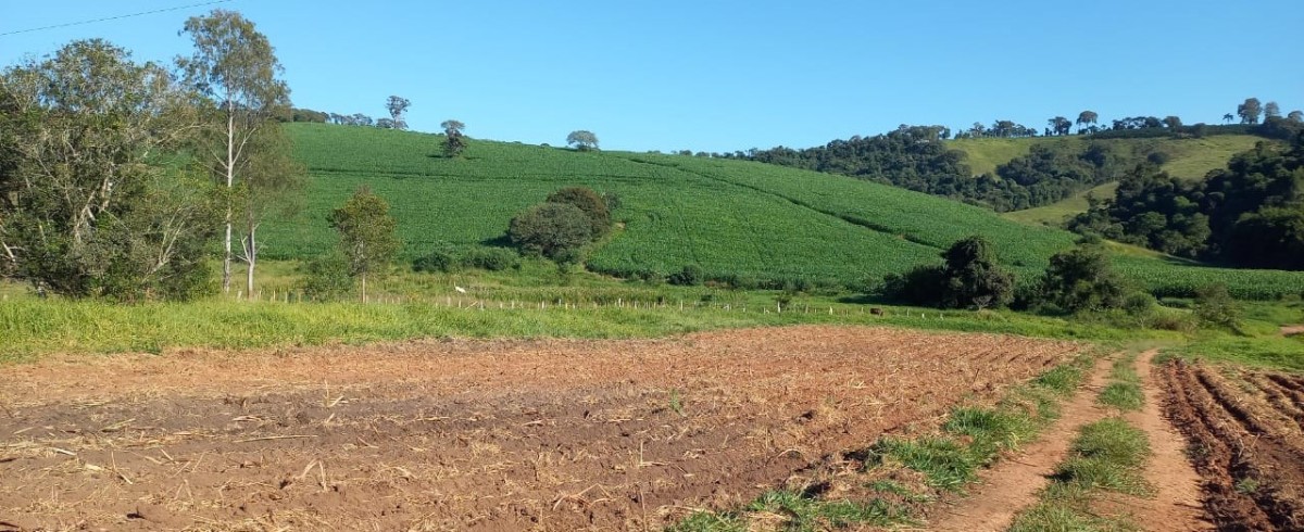 Fazenda, 182 hectares - Foto 1
