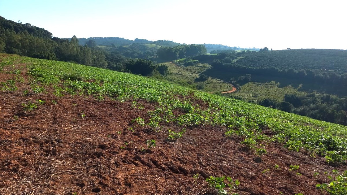 Fazenda, 182 hectares - Foto 6