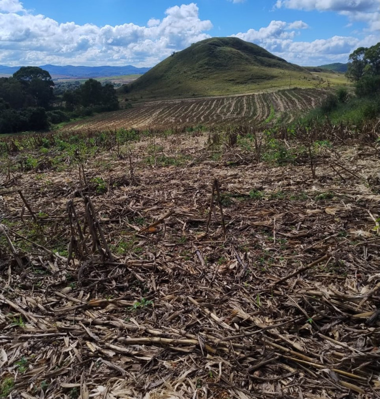 Chácara, 1 quarto, 68 hectares - Foto 3