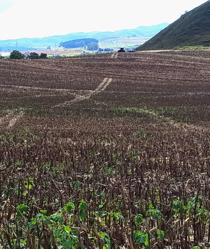 Chácara, 1 quarto, 68 hectares - Foto 18