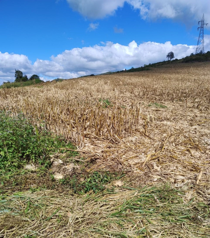 Chácara, 1 quarto, 68 hectares - Foto 19