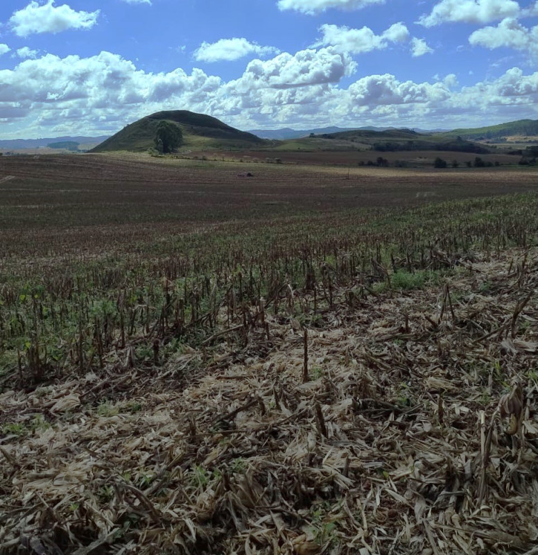 Chácara, 1 quarto, 68 hectares - Foto 13