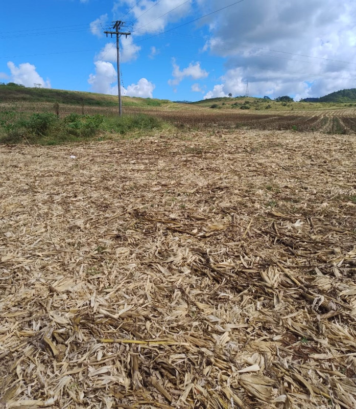 Chácara, 1 quarto, 68 hectares - Foto 17