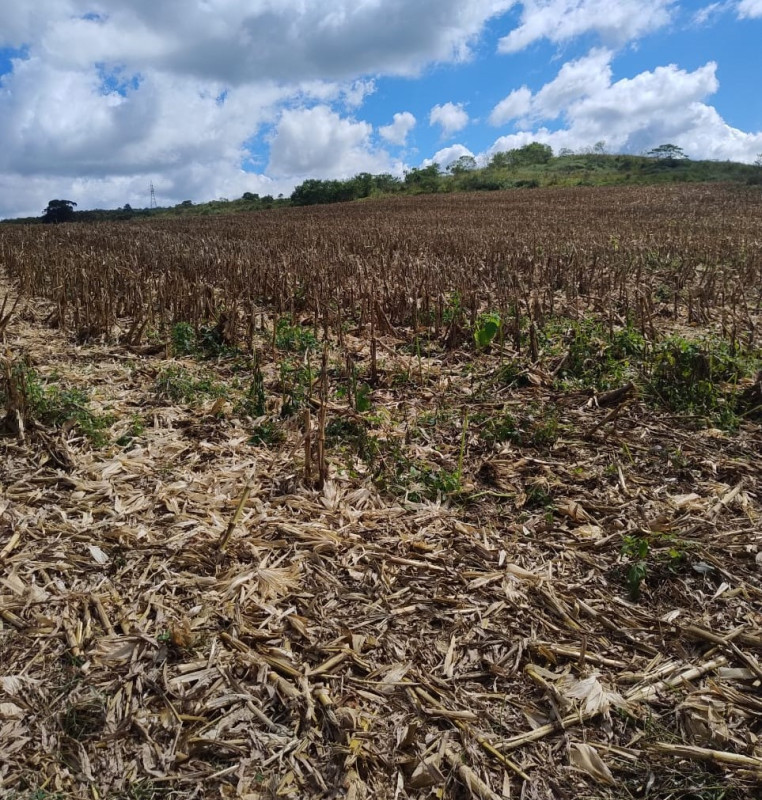 Chácara, 1 quarto, 68 hectares - Foto 20