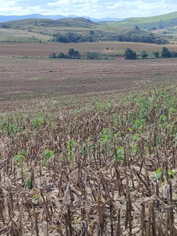 Chácara, 1 quarto, 68 hectares - Foto 16