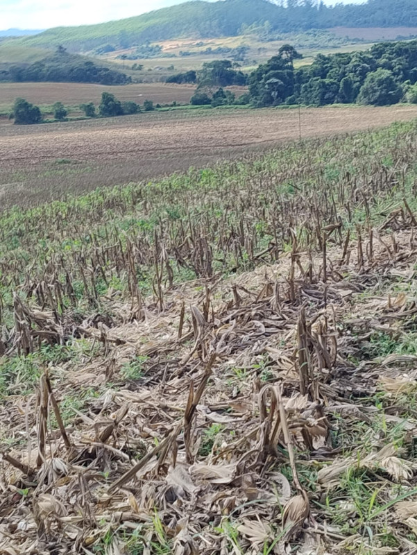 Chácara, 1 quarto, 68 hectares - Foto 21