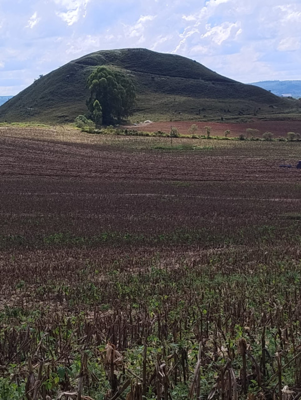 Chácara, 1 quarto, 68 hectares - Foto 4